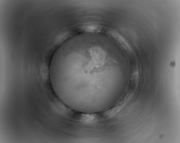 X0000102840469200808181352