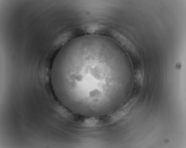 X0000102840470200808181352