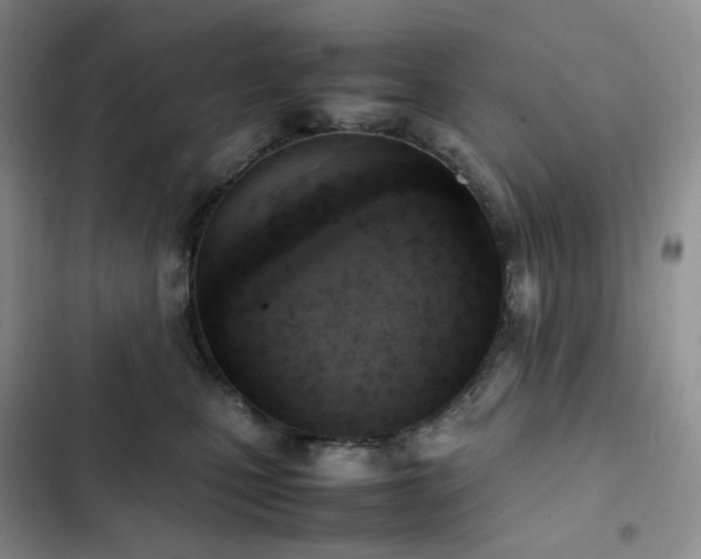 X0000102840471200808181352