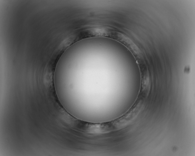 X0000102840473200808181352