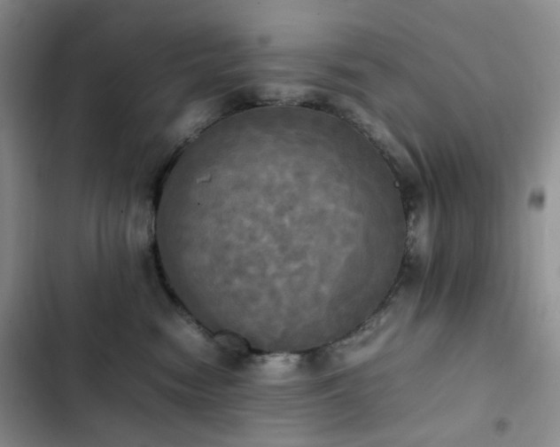 X0000102840474200808181352