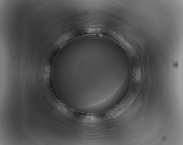 X0000102840475200808181352