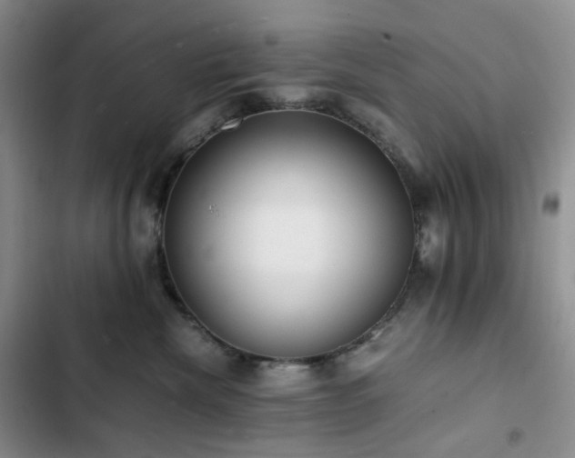 X0000102840476200808181352