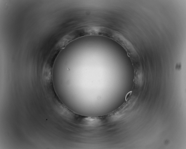 X0000102840477200808181352