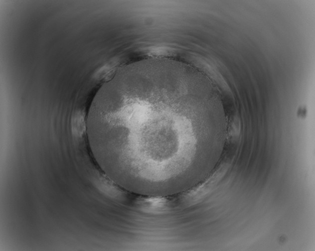 X0000102840478200808181352