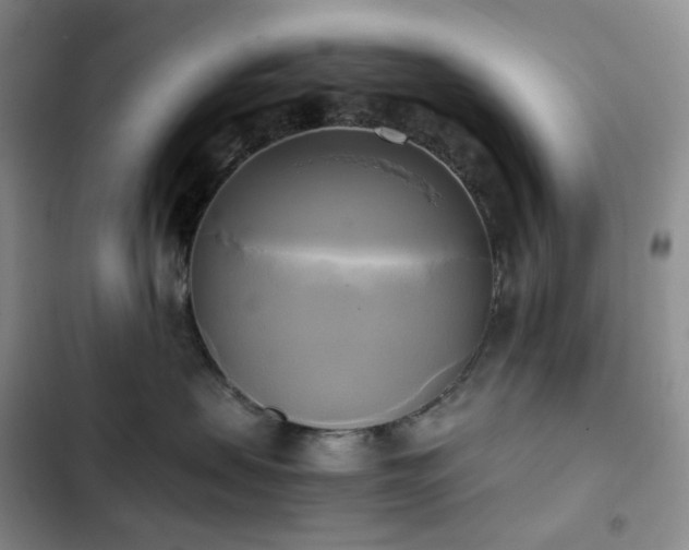 X0000102840479200808181352