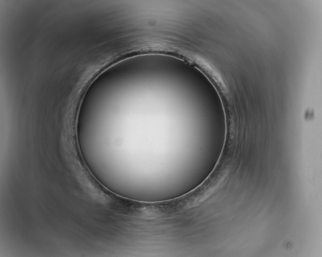 X0000102840481200808181352