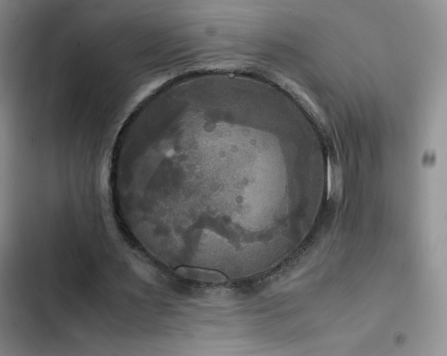 X0000102840483200808181352