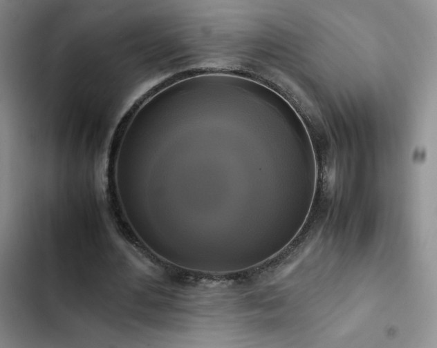 X0000102840484200808181352