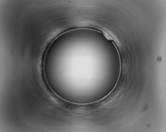 X0000102840485200808181352