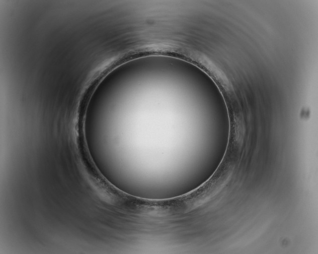 X0000102840486200808181352