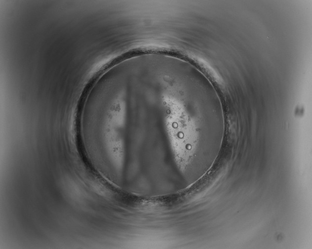 X0000102840487200808181352