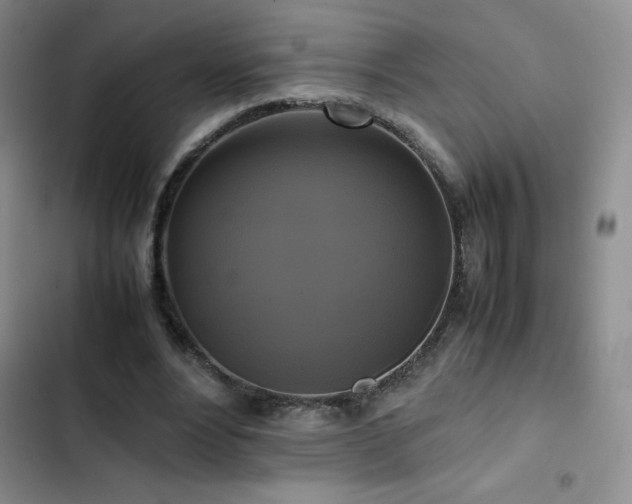 X0000102840488200808181352