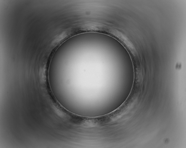 X0000102840489200808181351