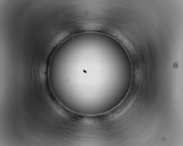 X0000102840490200808181351