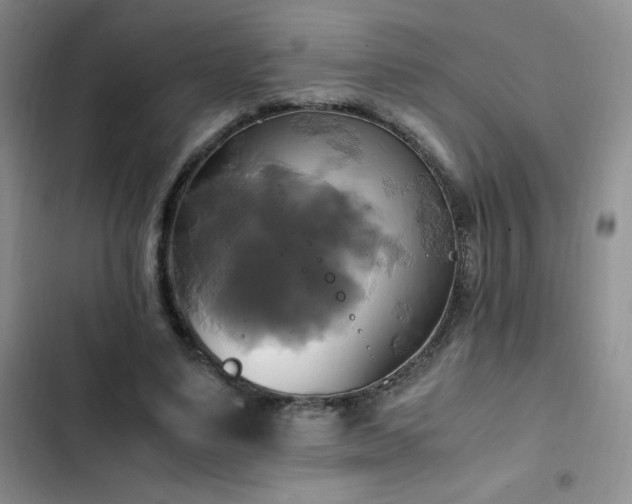 X0000102840491200808181351