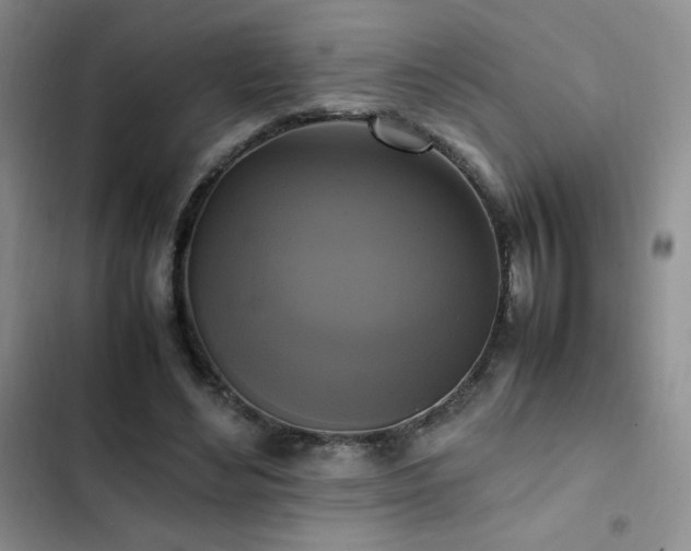 X0000102840492200808181351