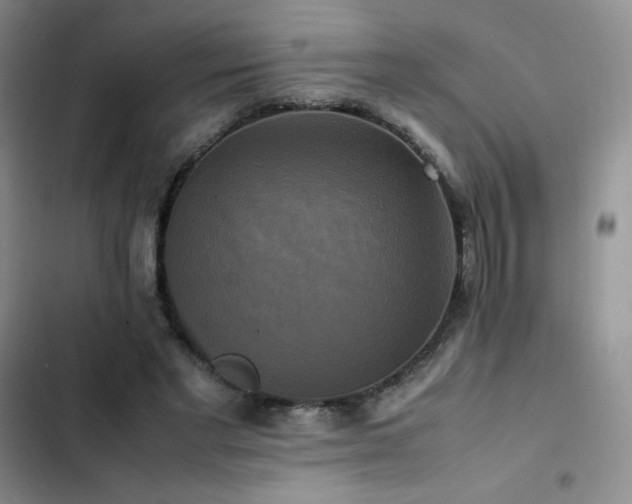 X0000102840493200808181351