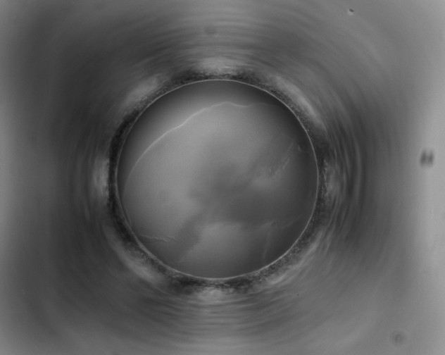 X0000102840494200808181351