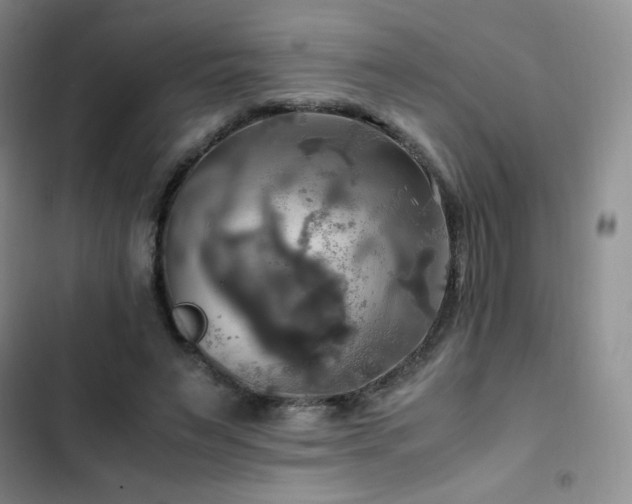 X0000102840495200808181351