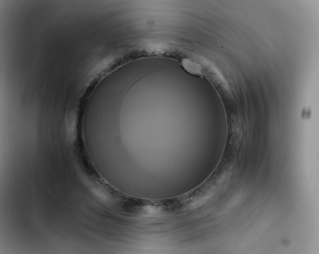 X0000102840496200808181351