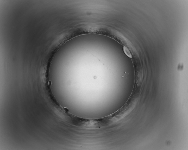 X0000102840497200808181351