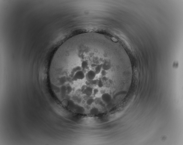 X0000102840499200808181351