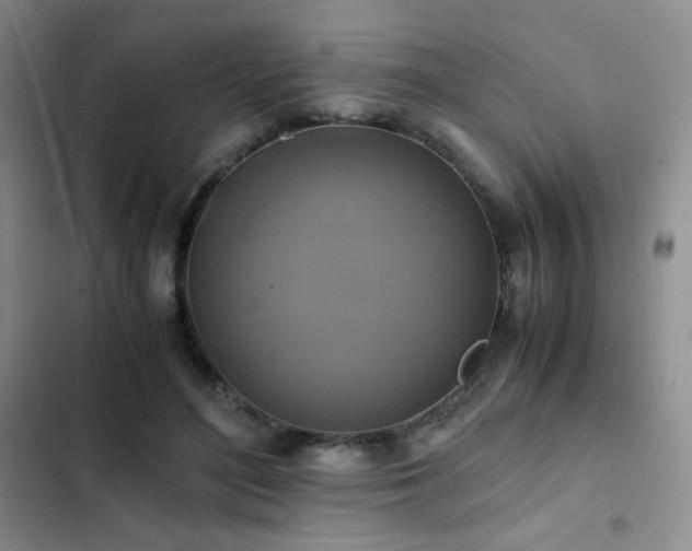 X0000102840500200808181351