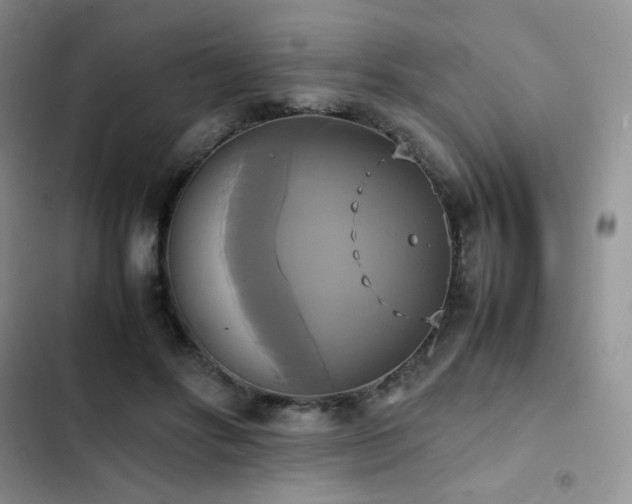 X0000102840502200808181351