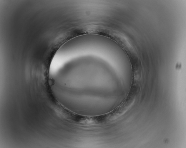 X0000102840503200808181351