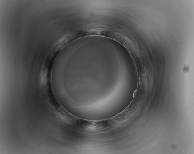 X0000102840504200808181351