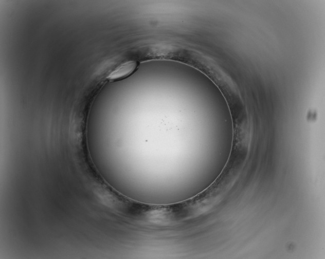 X0000102840505200808181351