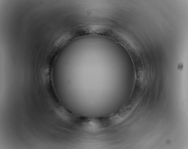 X0000102840506200808181351