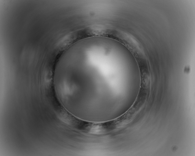 X0000102840507200808181351