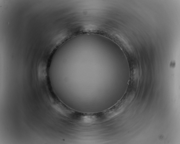 X0000102840508200808181351