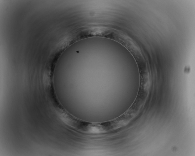 X0000102840510200808181351