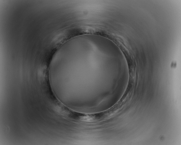 X0000102840511200808181351