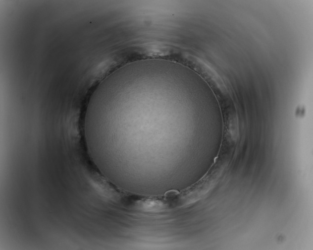 X0000102840512200808181351