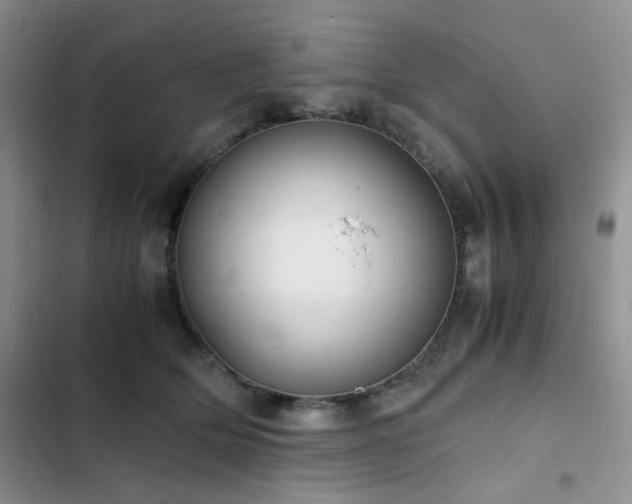 X0000102840514200808181351