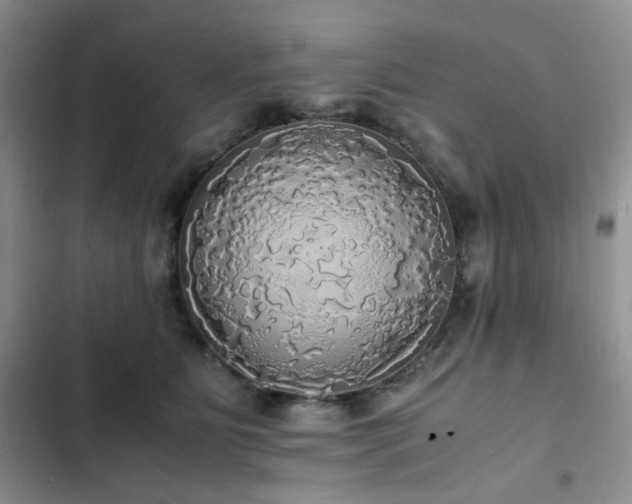 X0000102840515200808181351