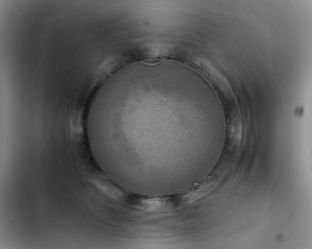 X0000102840516200808181351