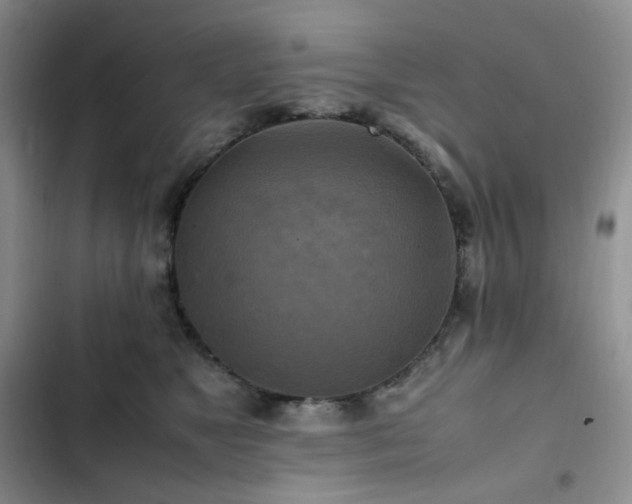 X0000102840517200808181351