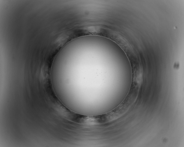 X0000102840518200808181351