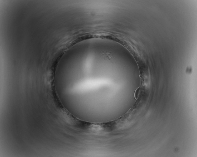 X0000102840519200808181351