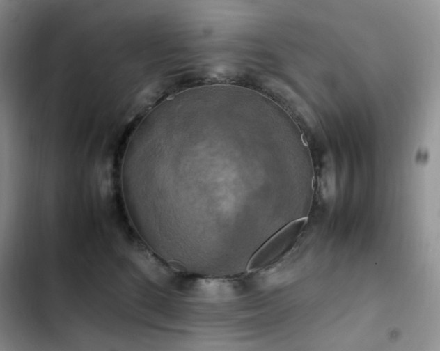 X0000102840520200808181351