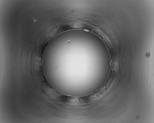 X0000102840521200808181351