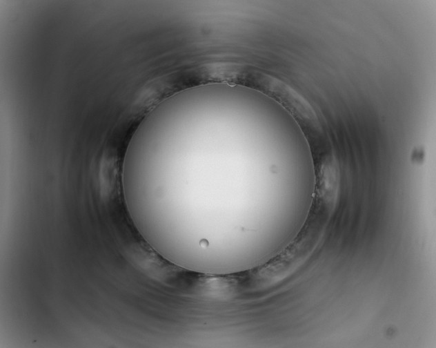 X0000102840522200808181351