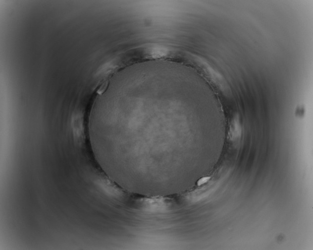 X0000102840524200808181351