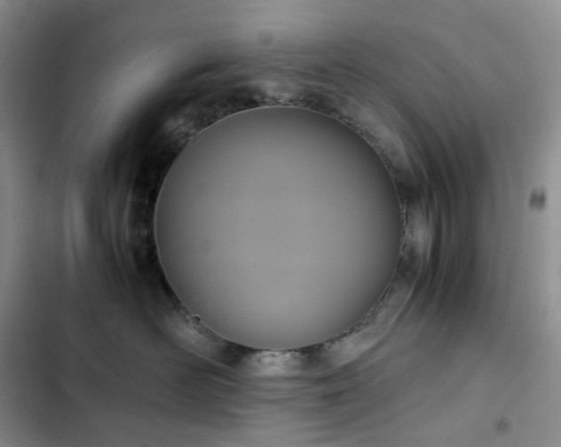 X0000102840526200808181351