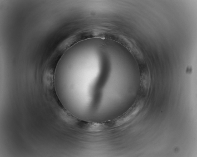 X0000102840527200808181351